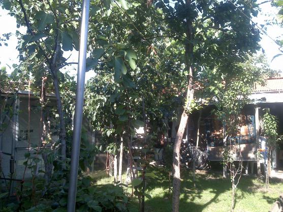 Name:  Foto967.jpg
Views: 668
Size:  71.7 KB