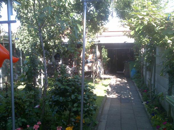 Name:  Foto968.jpg
Views: 705
Size:  70.9 KB
