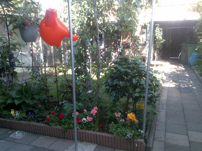 Name:  Foto969.jpg
Views: 695
Size:  67.6 KB