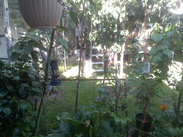 Name:  Foto973.jpg
Views: 691
Size:  70.3 KB