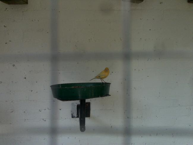 Name:  Foto976.jpg
Views: 766
Size:  19.9 KB