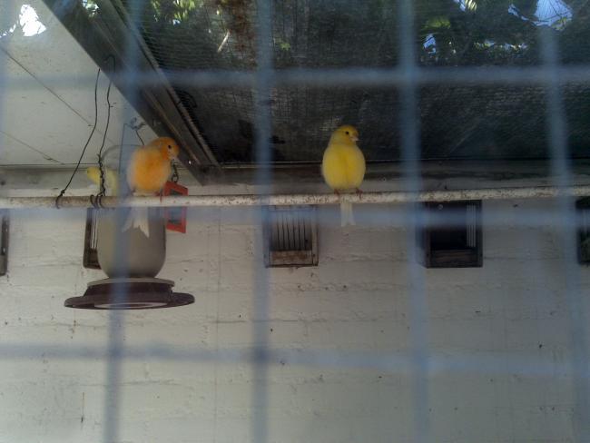 Name:  Foto978.jpg
Views: 786
Size:  32.4 KB