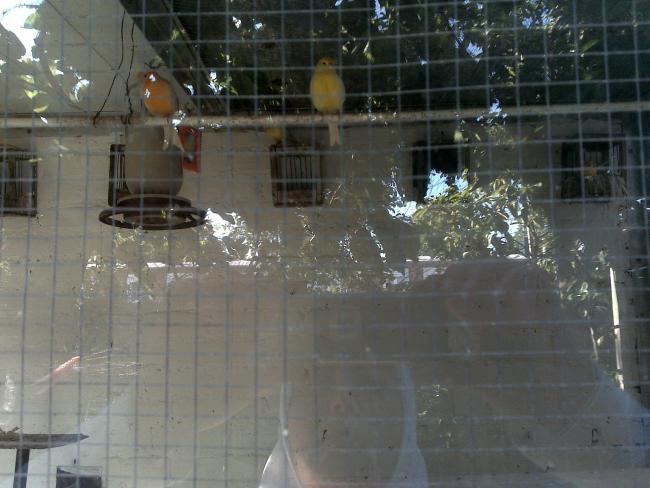 Name:  Foto977.jpg
Views: 737
Size:  45.6 KB