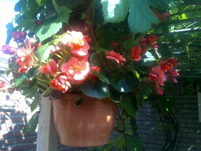 Name:  Foto819.jpg
Views: 861
Size:  53.0 KB