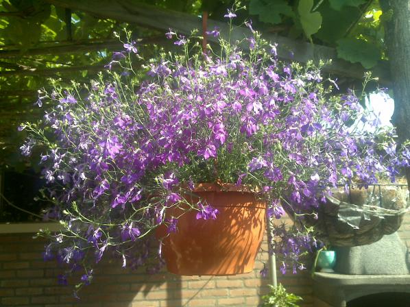 Name:  Foto820.jpg
Views: 844
Size:  70.7 KB