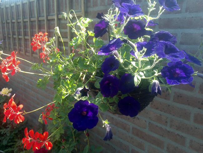 Name:  Foto806.jpg
Views: 824
Size:  62.9 KB