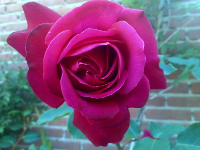 Name:  Foto786.jpg
Views: 801
Size:  35.7 KB