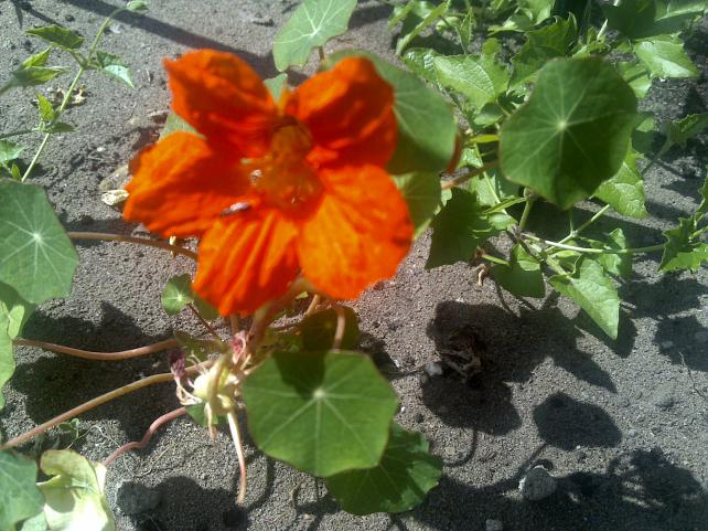 Name:  Foto833.jpg
Views: 796
Size:  70.8 KB