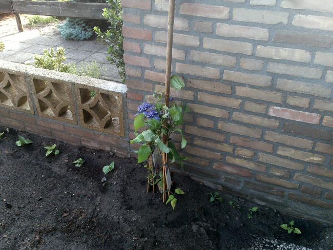 Name:  Foto607.jpg
Views: 790
Size:  64.6 KB