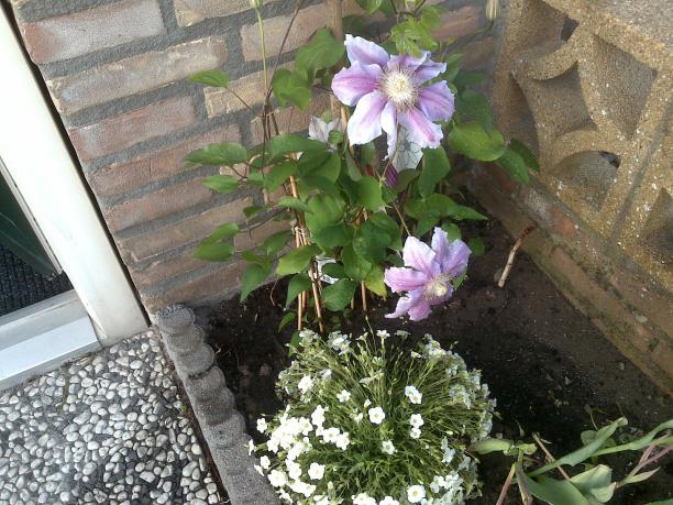 Name:  Foto589.jpg
Views: 806
Size:  69.5 KB