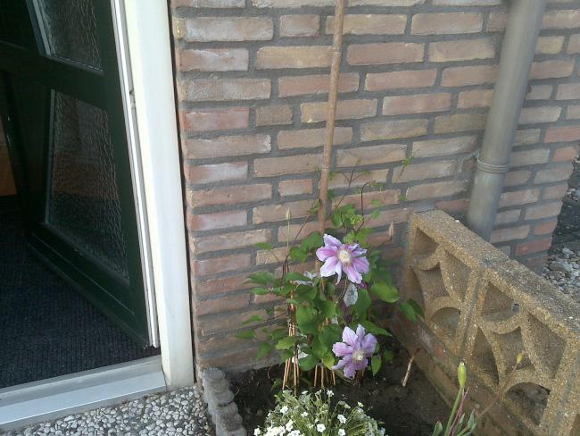 Name:  Foto590.jpg
Views: 790
Size:  55.7 KB