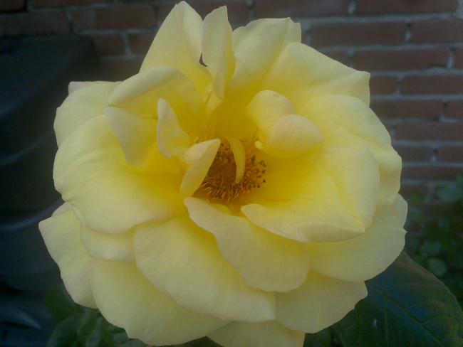 Name:  Foto714.jpg
Views: 703
Size:  23.3 KB