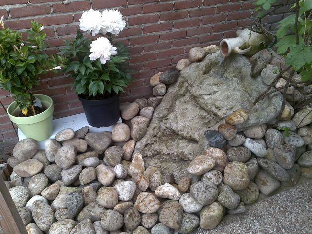 Name:  Foto747.jpg
Views: 1334
Size:  70.3 KB