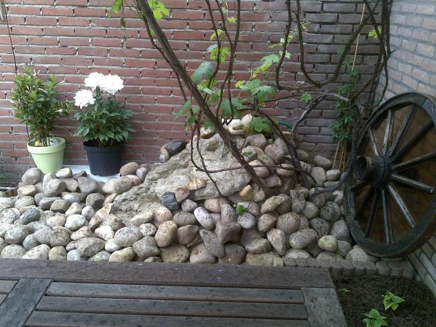 Name:  Foto746.jpg
Views: 925
Size:  70.3 KB