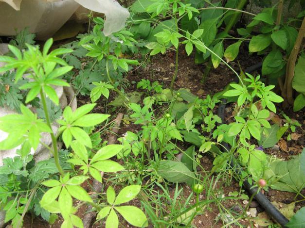 Name:  unuttum.jpg
Views: 1044
Size:  71.1 KB