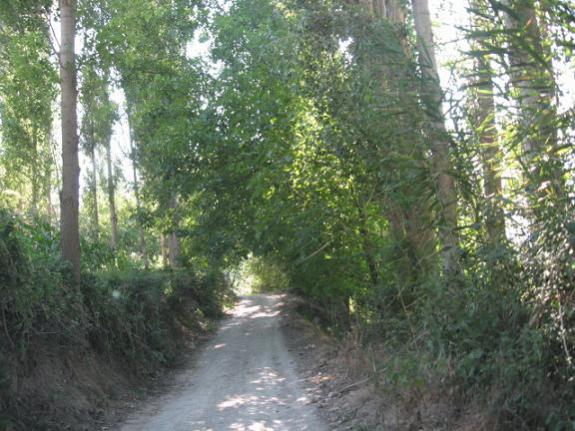 Name:  bahe yolu.jpg
Views: 1238
Size:  56.0 KB