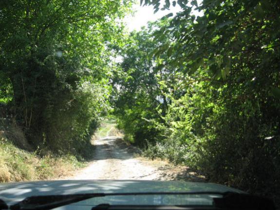 Name:  bahe yolu 1.jpg
Views: 1257
Size:  56.8 KB