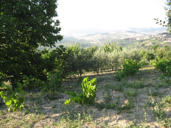Name:  bahe.JPG
Views: 1201
Size:  68.4 KB