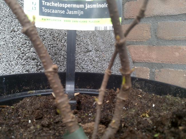 Name:  Foto502.jpg
Views: 543
Size:  64.7 KB