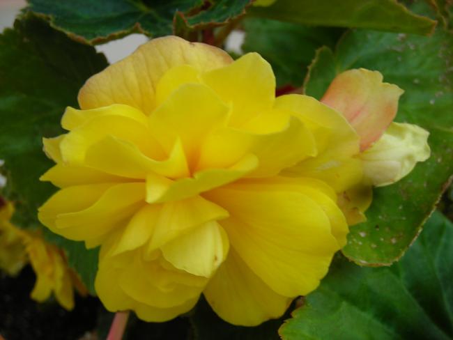 Name:  DSCN2467.jpg
Views: 664
Size:  27.1 KB