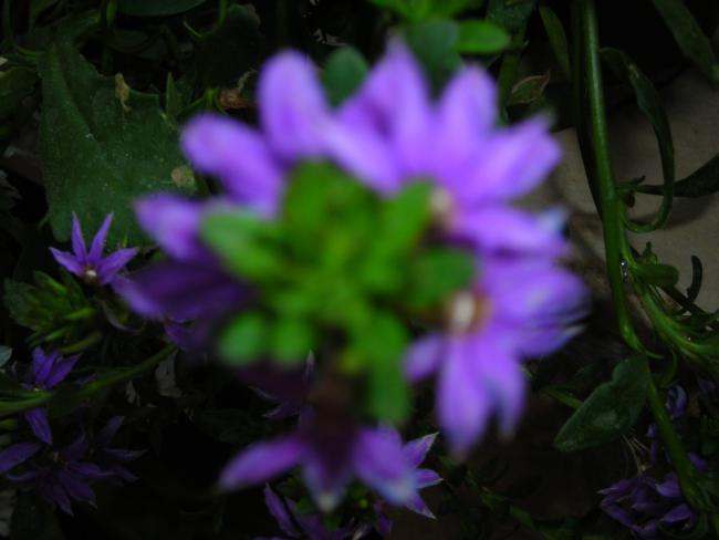 Name:  DSCN2471.jpg
Views: 598
Size:  28.8 KB