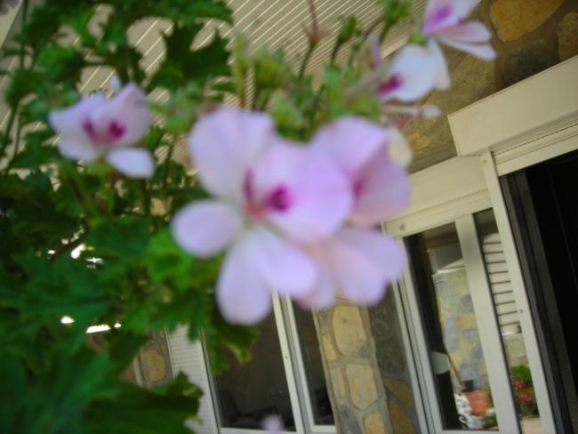 Name:  DSCN2478.jpg
Views: 601
Size:  37.0 KB