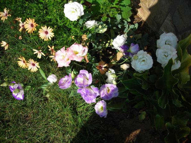Name:  DSCN2552.jpg
Views: 664
Size:  71.1 KB