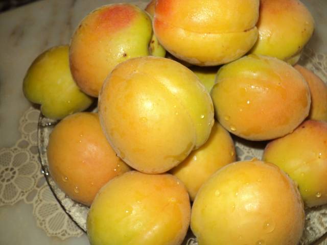 Name:  DSC00573_640x480.JPG
Views: 625
Size:  47.3 KB