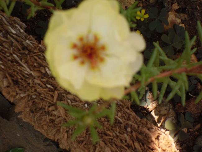 Name:  SDC10863 copy.jpg
Views: 594
Size:  38.7 KB