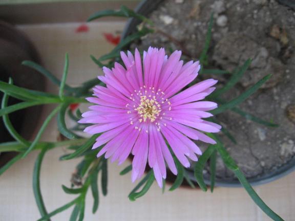Name:  acem h benzeyen.JPG
Views: 1595
Size:  38.7 KB