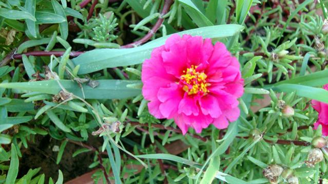 Name:  bahem2010 019.jpg
Views: 522
Size:  51.8 KB