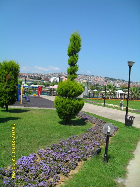 Name:  Resim 1720.jpg
Views: 618
Size:  68.8 KB
