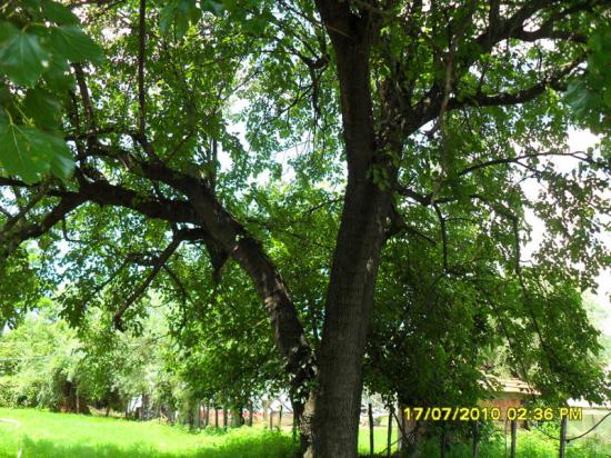Name:  Resim 1684.jpg
Views: 1882
Size:  74.0 KB