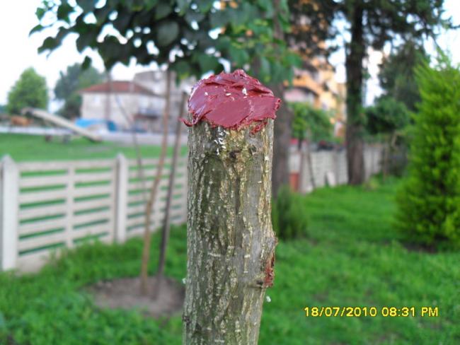 Name:  Resim 1758.jpg
Views: 1069
Size:  46.1 KB