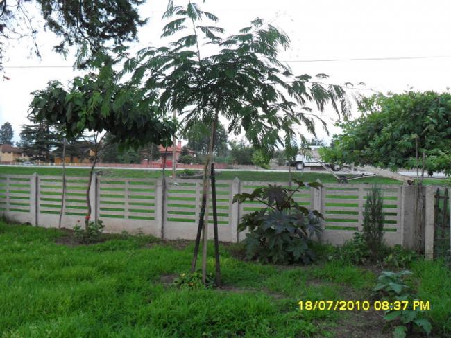 Name:  Resim 1764.jpg
Views: 1088
Size:  68.6 KB