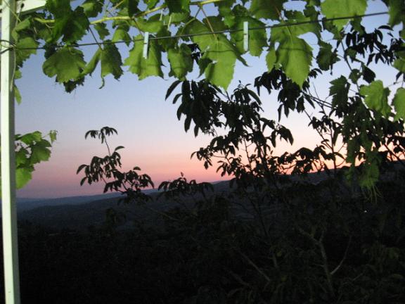 Name:  akamn hzn.JPG
Views: 1855
Size:  53.9 KB