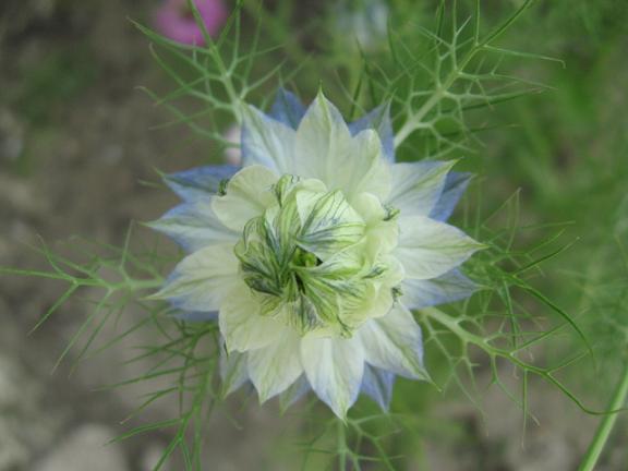 Name:  mavi beyaz rekotu.JPG
Views: 1853
Size:  33.5 KB