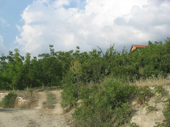 Name:  bahe giri.JPG
Views: 1544
Size:  51.6 KB