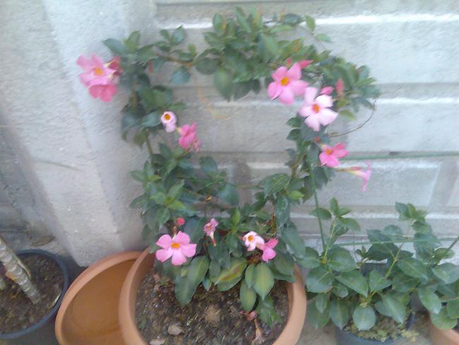 Name:  Grnt505.jpg
Views: 512
Size:  43.7 KB