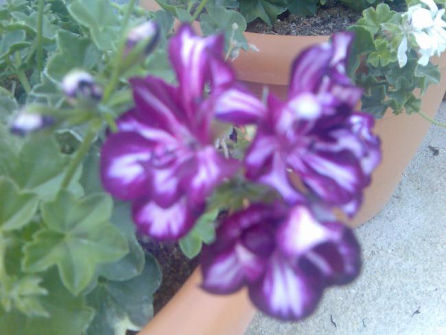 Name:  Grnt508.jpg
Views: 517
Size:  39.2 KB