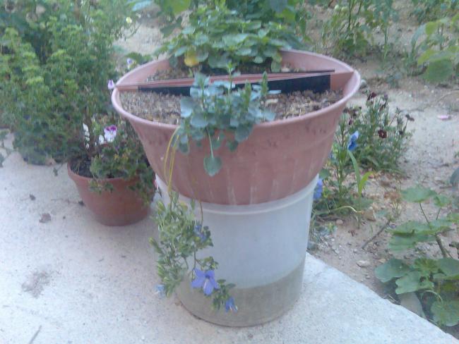 Name:  Grnt521.jpg
Views: 510
Size:  48.5 KB
