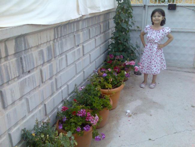 Name:  Grnt523.jpg
Views: 861
Size:  45.2 KB