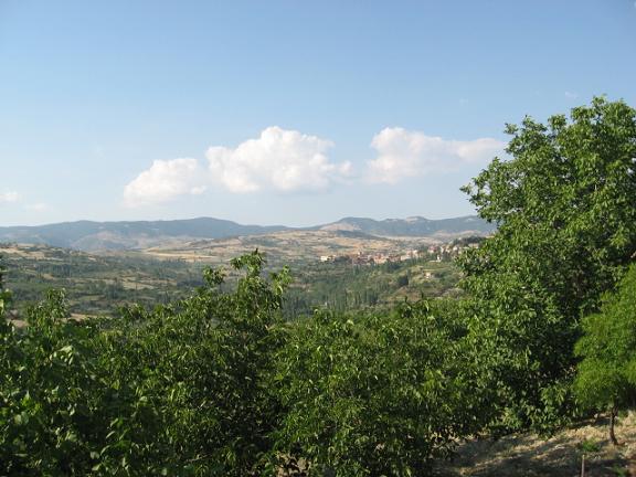 Name:  bahe.JPG
Views: 1502
Size:  56.1 KB