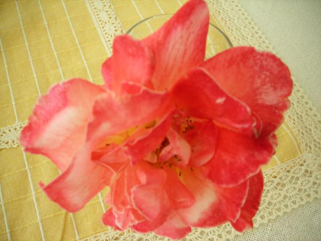 Name:  DSCN2501.jpg
Views: 624
Size:  39.8 KB