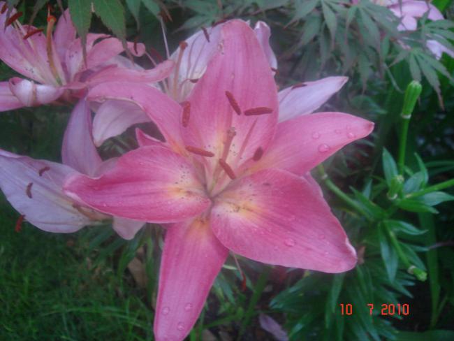 Name:  DSC01796.jpg
Views: 662
Size:  38.1 KB