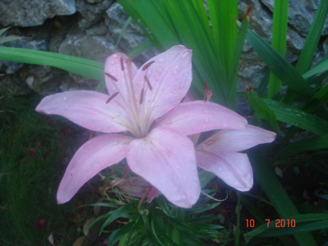 Name:  DSC01797.jpg
Views: 605
Size:  34.4 KB