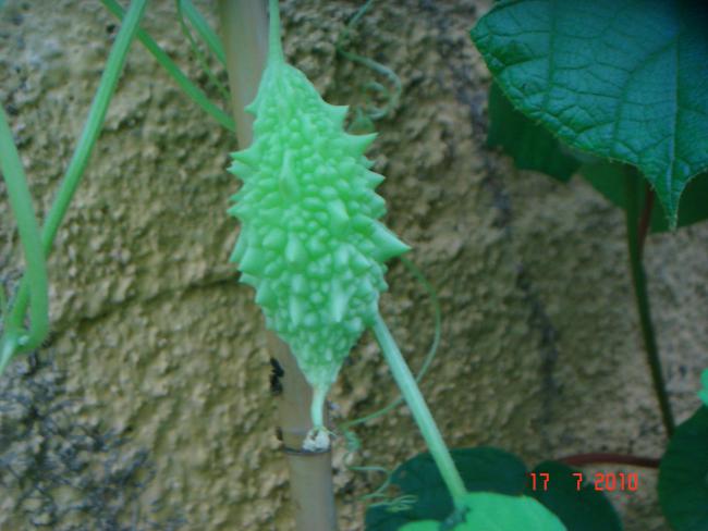 Name:  DSC02361.jpg
Views: 587
Size:  40.9 KB