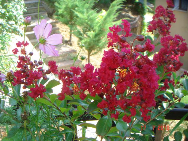 Name:  DSC02289.jpg
Views: 599
Size:  70.9 KB