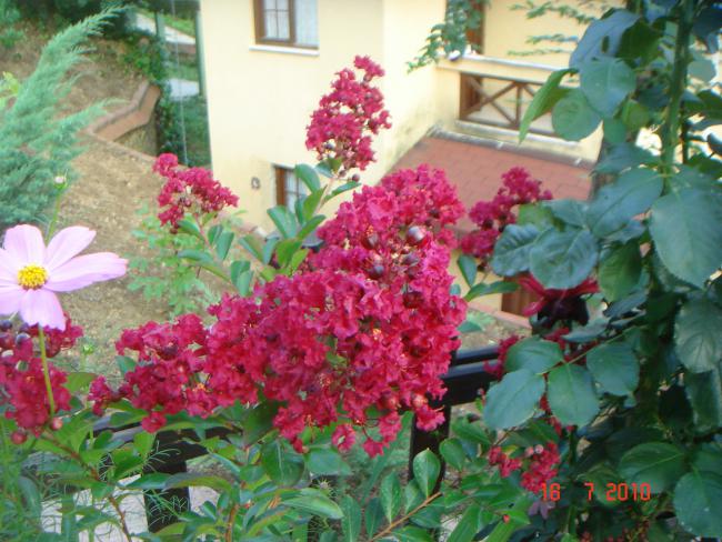 Name:  DSC02416.jpg
Views: 600
Size:  61.9 KB