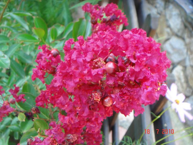 Name:  DSC02473.jpg
Views: 609
Size:  53.8 KB